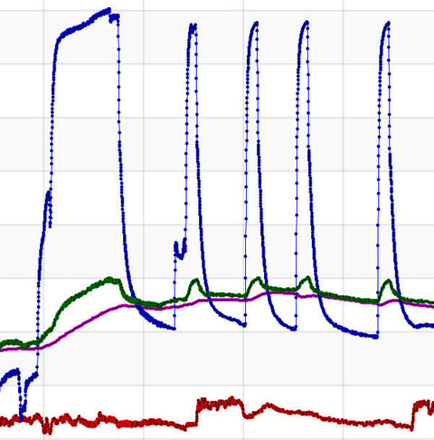 TrendReader TRX Basic and Pro Versions Unified Into One Free Release